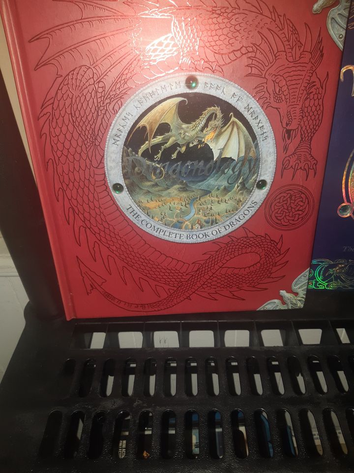 dragon and wizard books