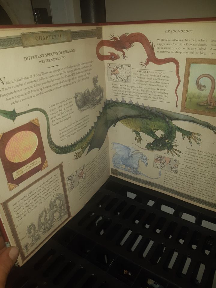 dragon and wizard books
