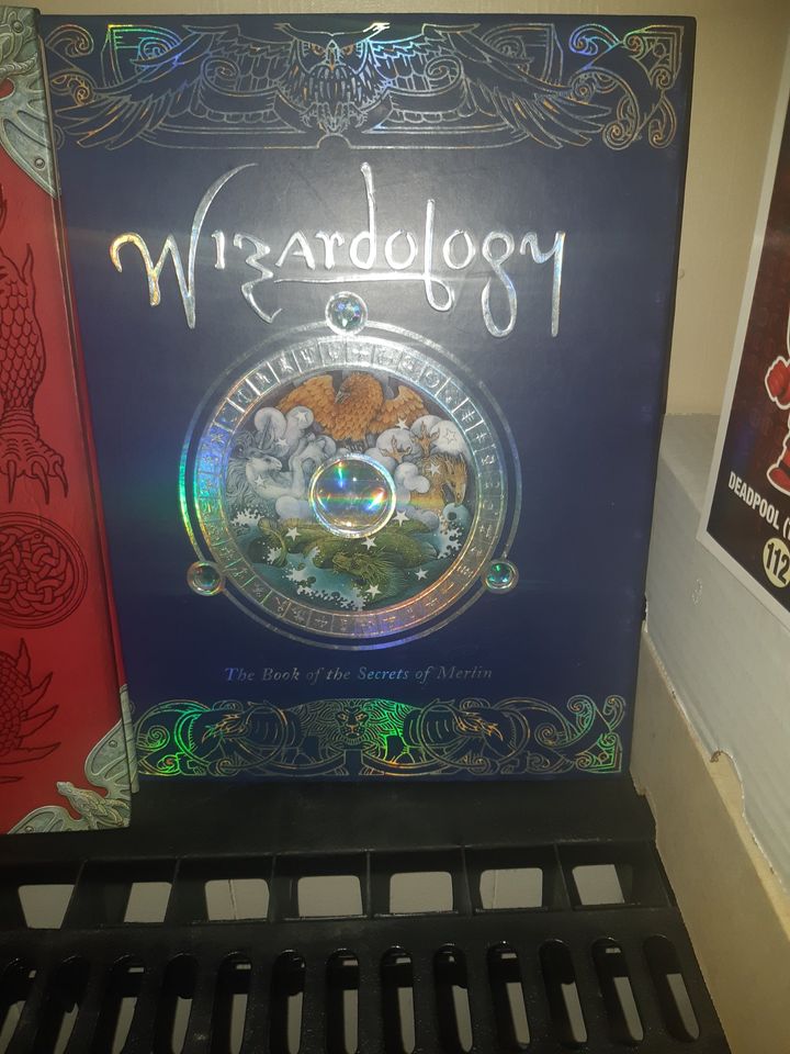 dragon and wizard books