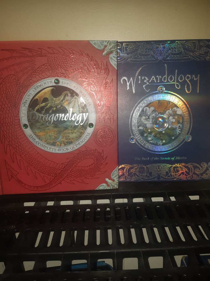 dragon and wizard books