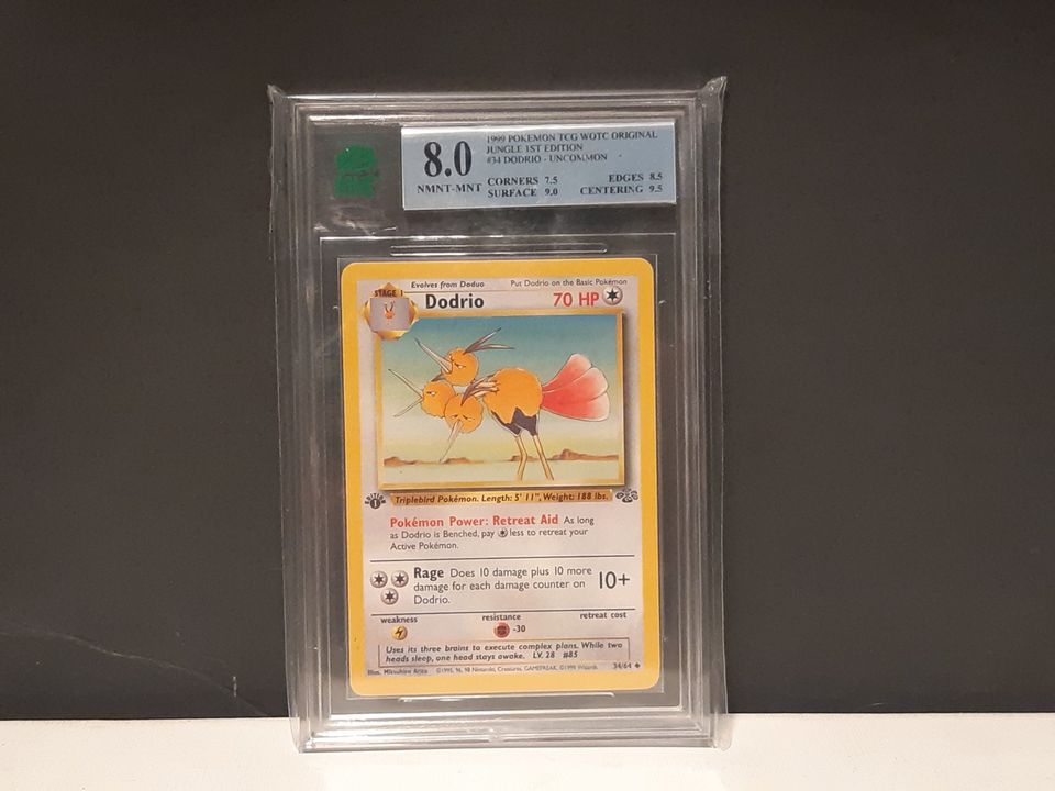 1st Edition Jungle Dodrio Graded 8