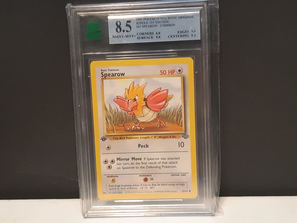 1st Edition Jungle Spearow graded 8.5