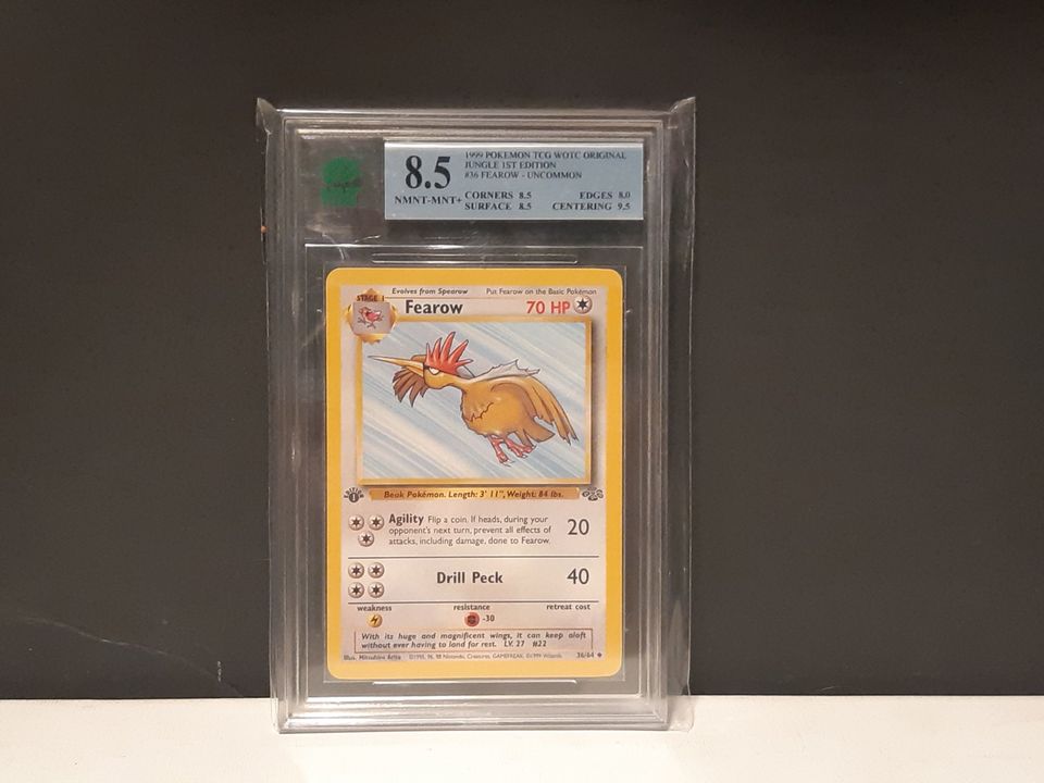 1st Edition Jungle Fearow Graded 8.5