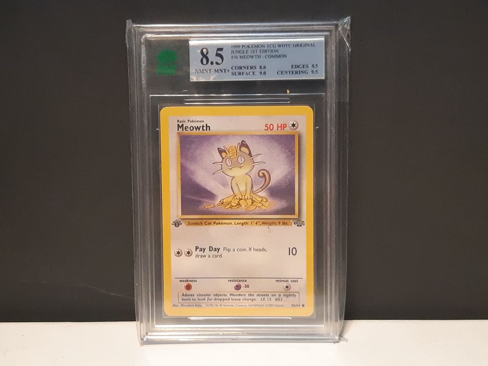 1st Edition Jungle Meowth Graded 8.5