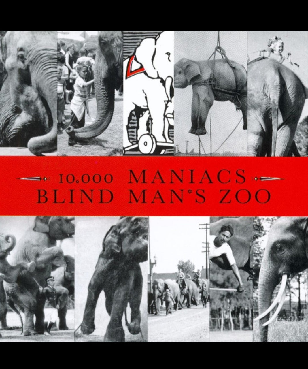 Blind Man's Zoo - 10,000 Maniacs - 1989