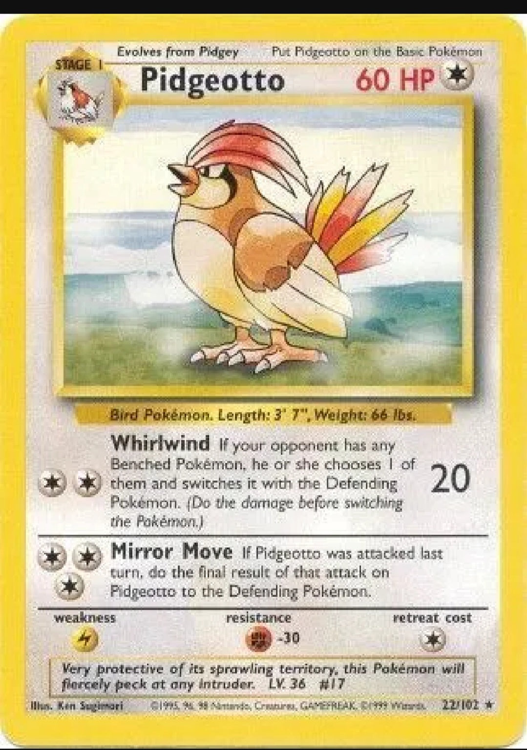 Pidgeotto - Non Holo