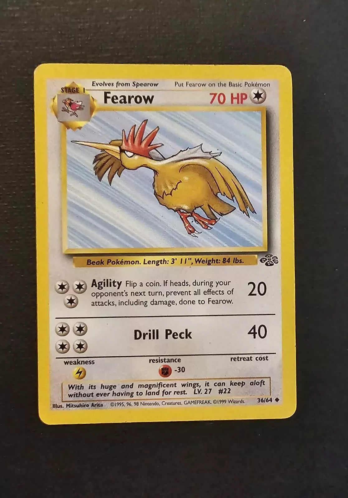 Fearow jungle pokemon
